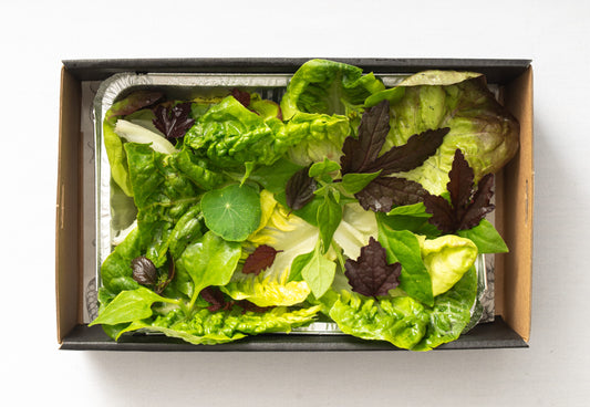 BK Garden leaves, lemon dressing, herbs