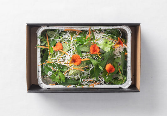 Vermicelli noodle, carrot, coriander, mint