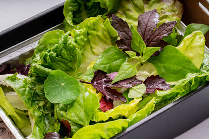 BK Garden leaves, lemon dressing, herbs